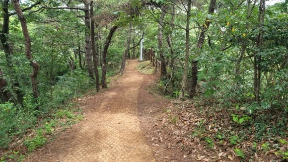 %EC%98%A4%ED%98%B8%ED%98%B8%ED%98%B8%ED%99%8D%EA%B0%80%EC%A1%B1-20220812__%EB%AA%A9%ED%8F%AC%EC%97%AC%ED%96%89-43814250201.jpg?type=w580