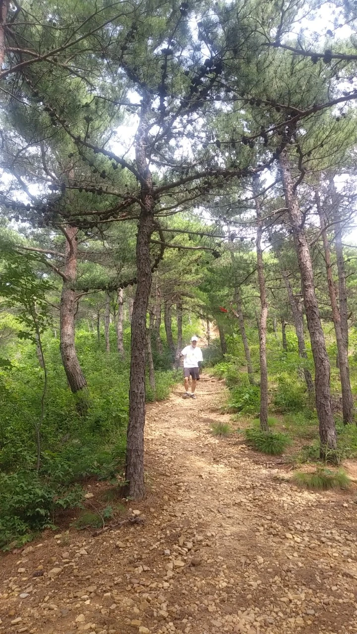 7_8i4Ud018svc1298csw3sf3hq_qyquvc.jpg?type=w773