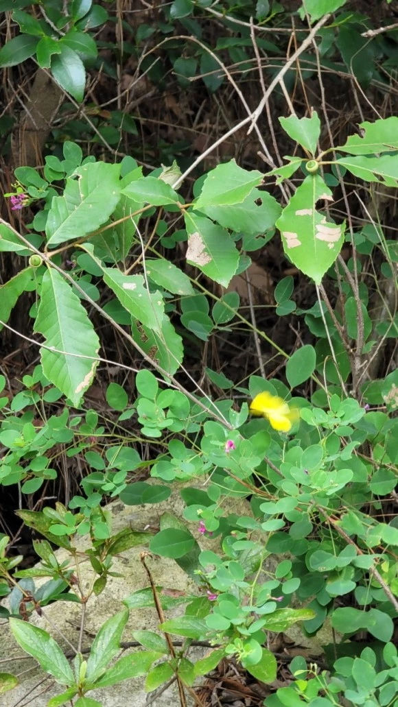 %EC%98%A4%ED%98%B8%ED%98%B8%ED%98%B8%ED%99%8D%EA%B0%80%EC%A1%B1-20220812__%EB%AA%A9%ED%8F%AC%EC%97%AC%ED%96%89-43814370392.jpg?type=w580