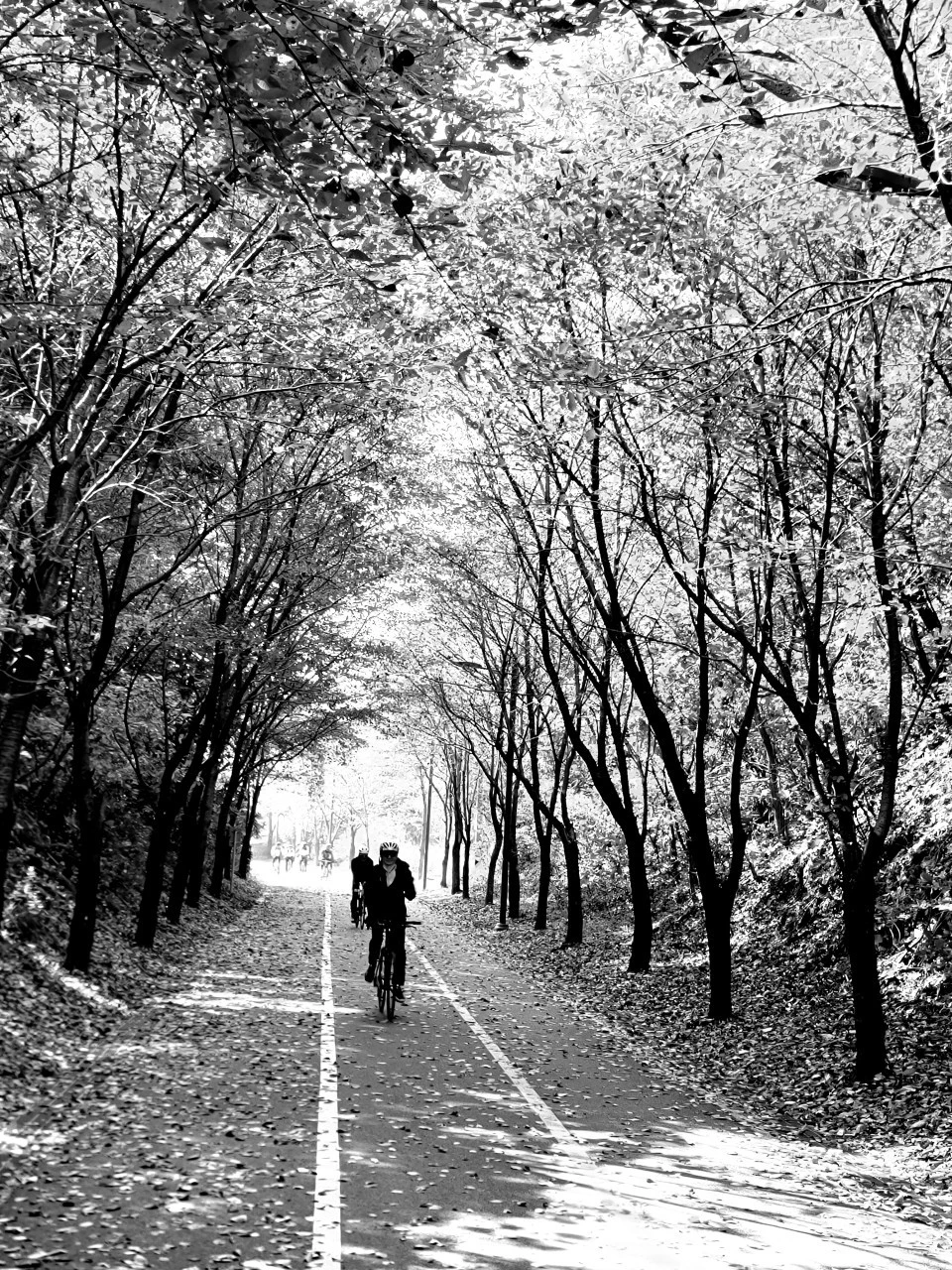 d_d45Ud018svc1a3bpm15aosdy_qyquvc.jpg?type=e1920_std