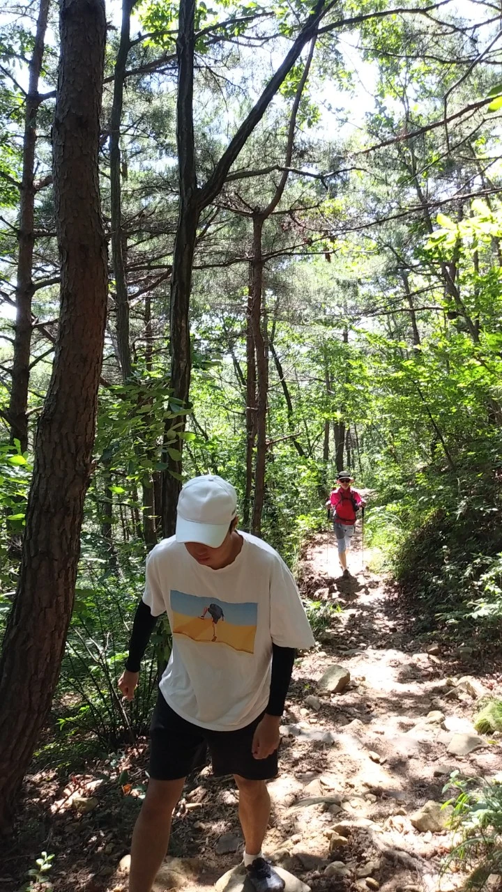 g_fi4Ud018svc1p25hipr373t8_qyquvc.jpg?type=w773