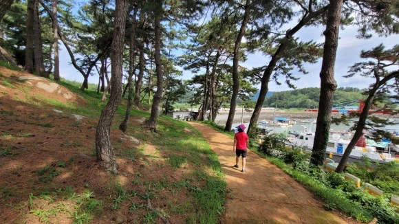 %EC%98%A4%ED%98%B8%ED%98%B8%ED%98%B8%ED%99%8D%EA%B0%80%EC%A1%B1-20220812__%EB%AA%A9%ED%8F%AC%EC%97%AC%ED%96%89-43814370589.jpg?type=w580