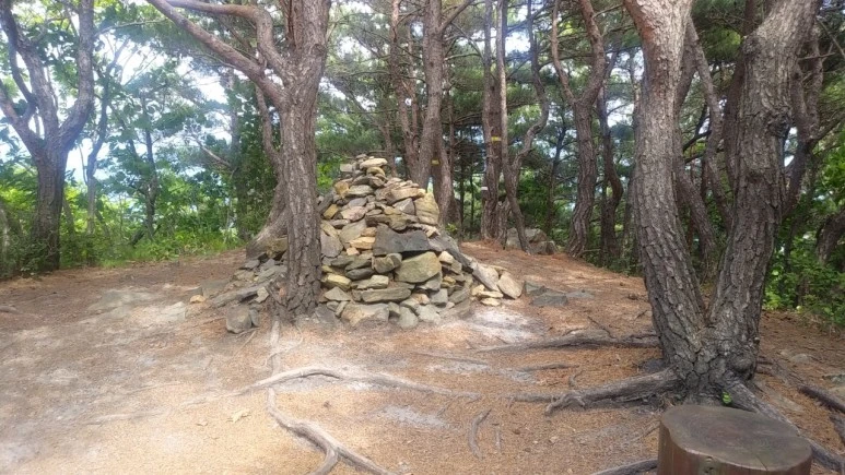 7_fi4Ud018svc13nwmkwtjh3r0_qyquvc.jpg?type=w773