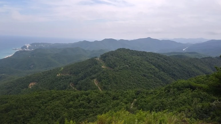 8_ei4Ud018svch8tp34xz3lef_qyquvc.jpg?type=w773