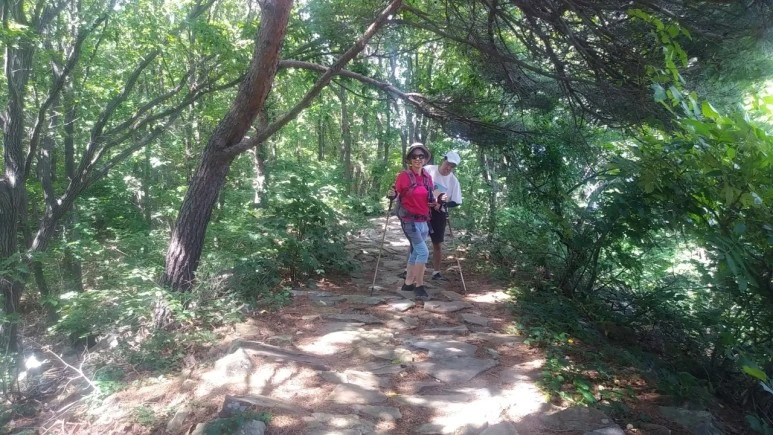 8_8i4Ud018svcla1lg0t5s2aj_qyquvc.jpg?type=w773