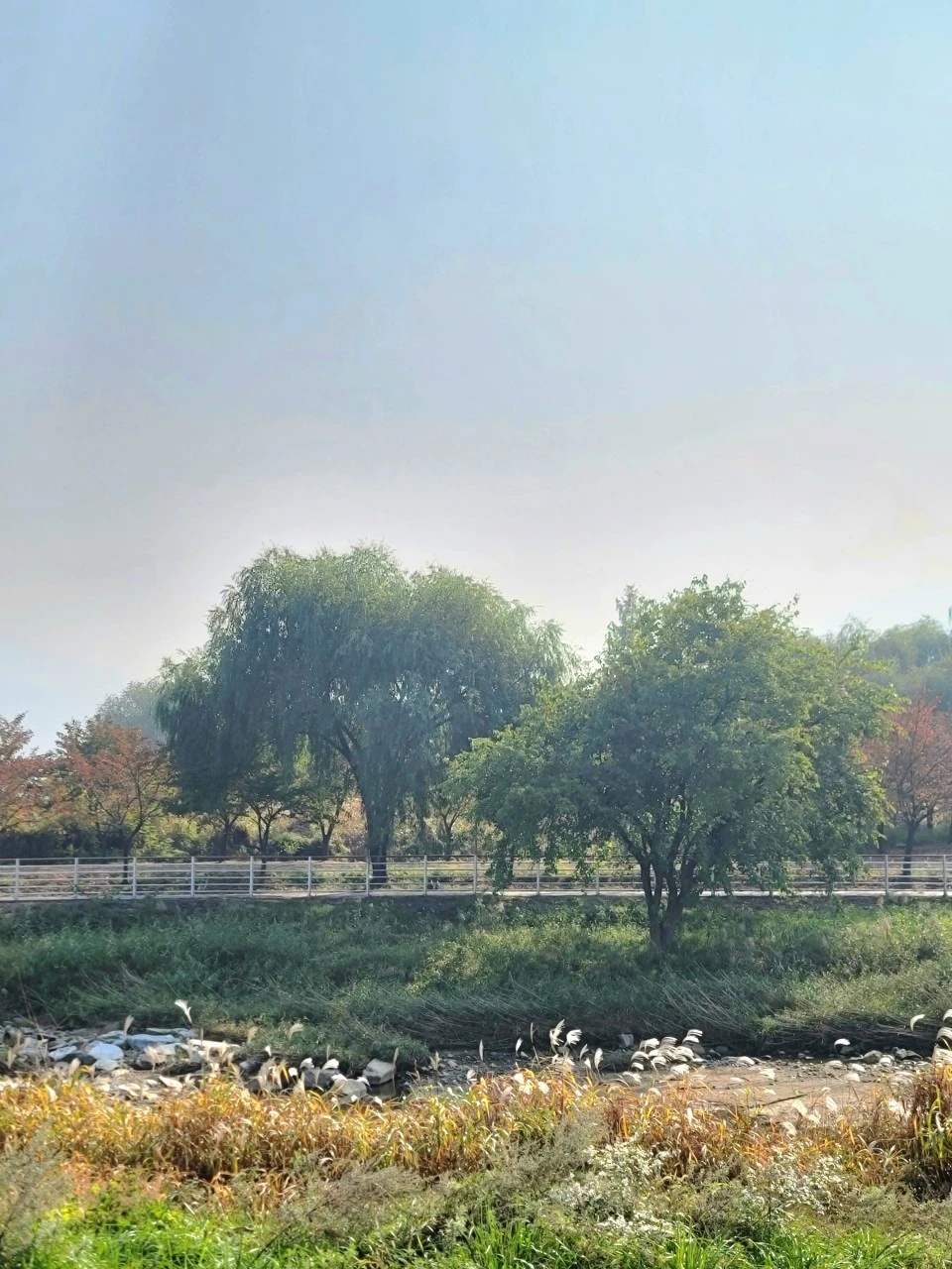 c_i45Ud018svc1pedjcufhcsnw_qyquvc.jpg?type=e1920_std