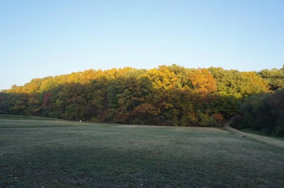 aao_%282%29.JPG?type=w580