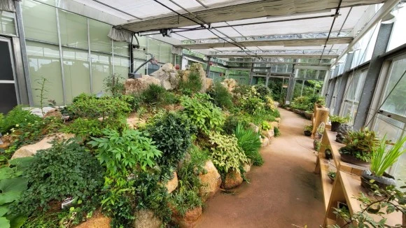 %EC%98%A4%ED%98%B8%ED%98%B8%ED%98%B8%ED%99%8D%EA%B0%80%EC%A1%B1-20220812__%EB%AA%A9%ED%8F%AC%EC%97%AC%ED%96%89-43814592048.jpg?type=w580