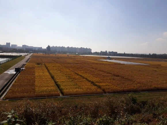 bbb_%283%29.jpg?type=w580