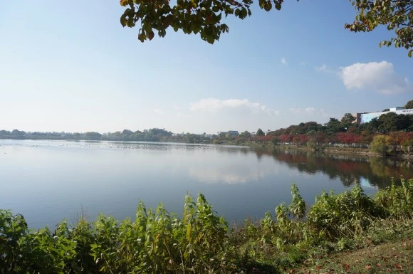 bbb_%282%29.JPG?type=w580