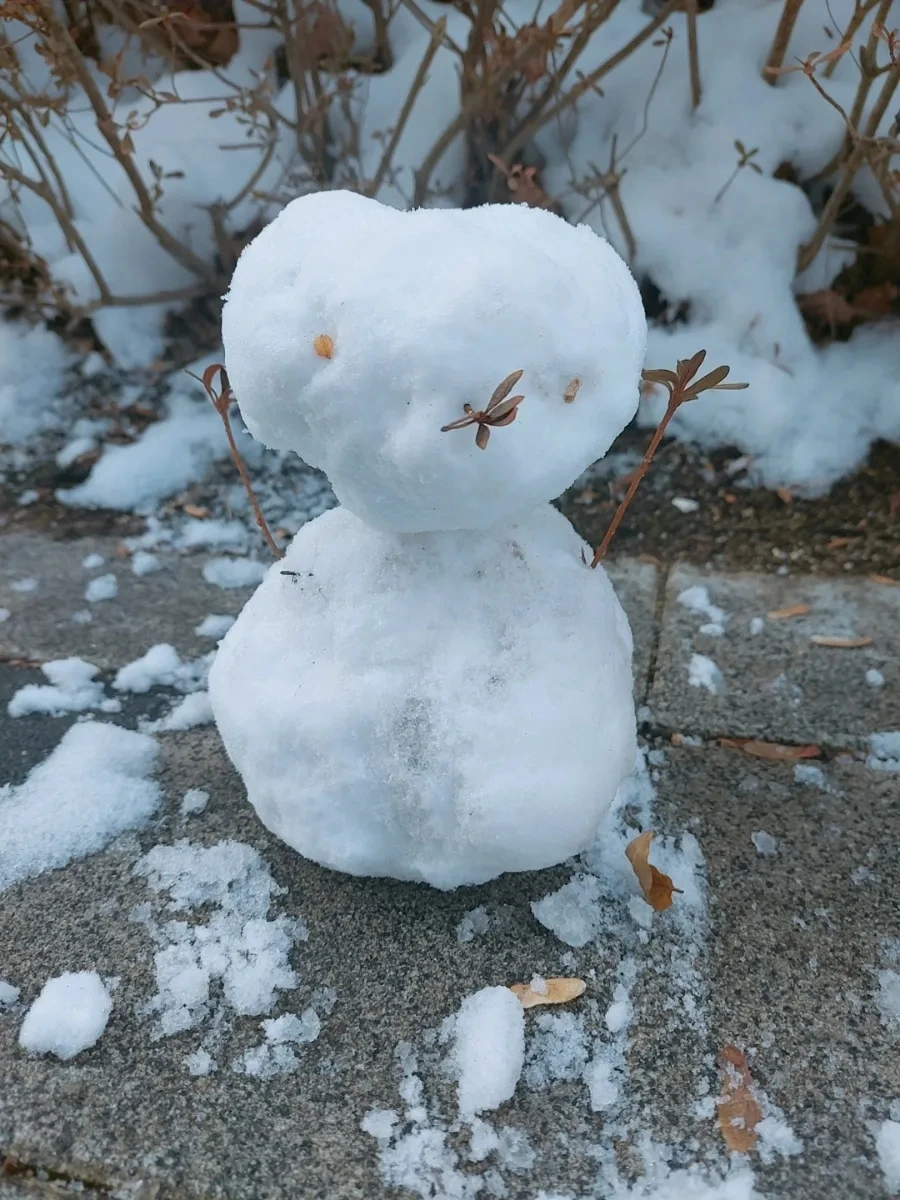 900%EF%BC%BFSNOW%EF%BC%BF20250130%EF%BC%BF153949%EF%BC%BF665.jpg?type=w966