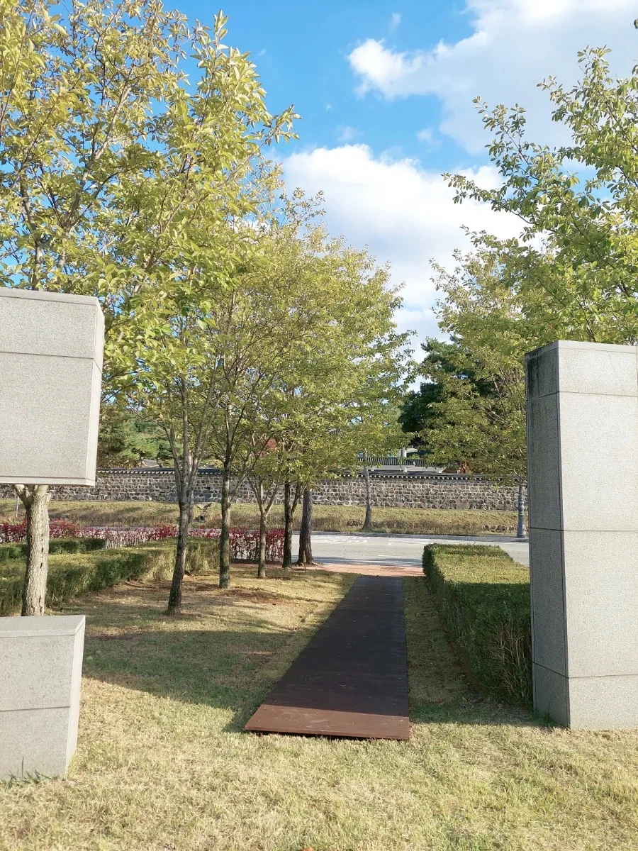 900%EF%BC%BFbeauty%EF%BC%BF20251102154003.jpg?type=w966