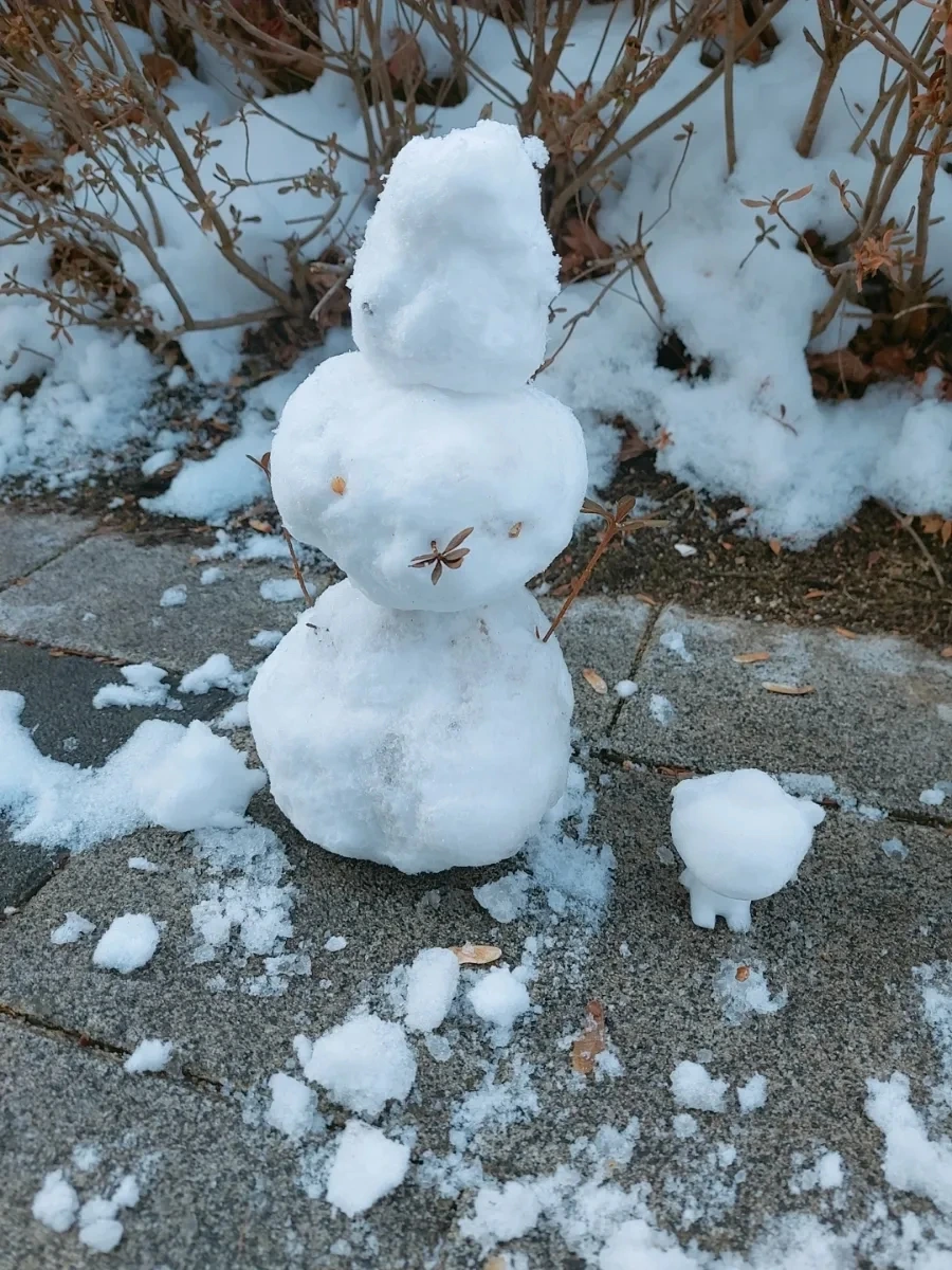 900%EF%BC%BFSNOW%EF%BC%BF20250130%EF%BC%BF154343%EF%BC%BF426.jpg?type=w966