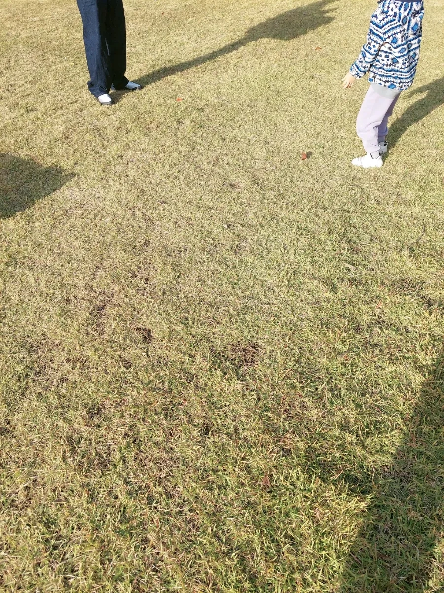 900%EF%BC%BFbeauty%EF%BC%BF20251102153943.jpg?type=w966