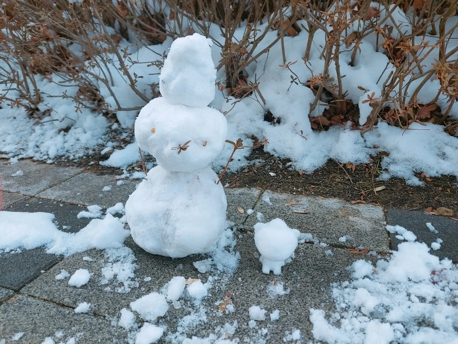 900%EF%BC%BFSNOW%EF%BC%BF20250130%EF%BC%BF154420%EF%BC%BF631.jpg?type=w966