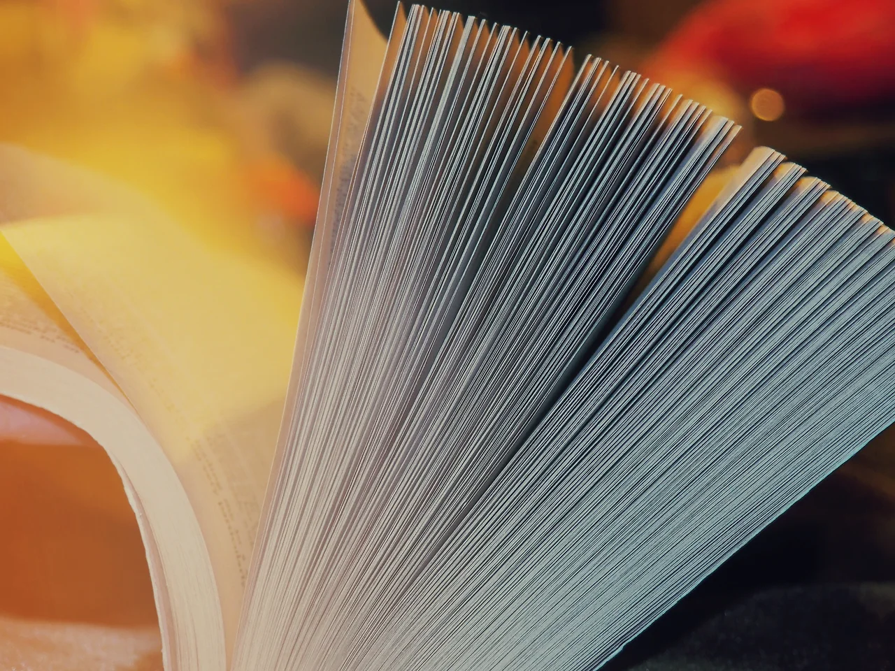 photo-1455651264681-40d634a35ce4?ixlib=rb-1.2.1&amp;ixid=eyJhcHBfaWQiOjEyMDd9&amp;auto=format&amp;fit=crop&amp;w=1000&amp;q=80