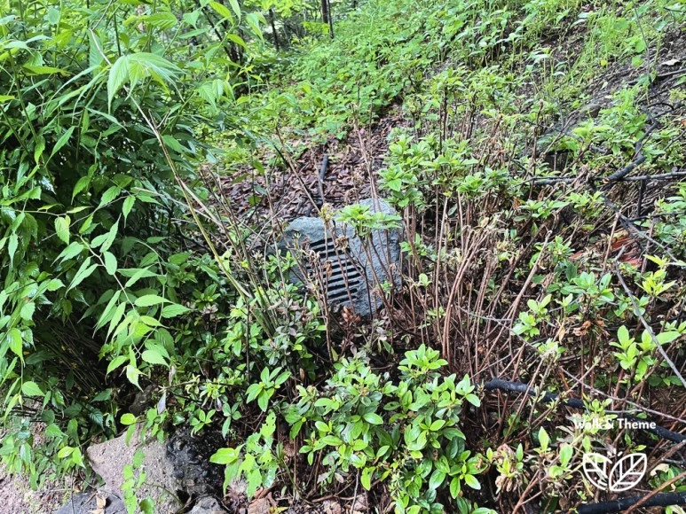 SE-b497cb42-7176-402a-b129-34ff234cad05.jpg?type=w773