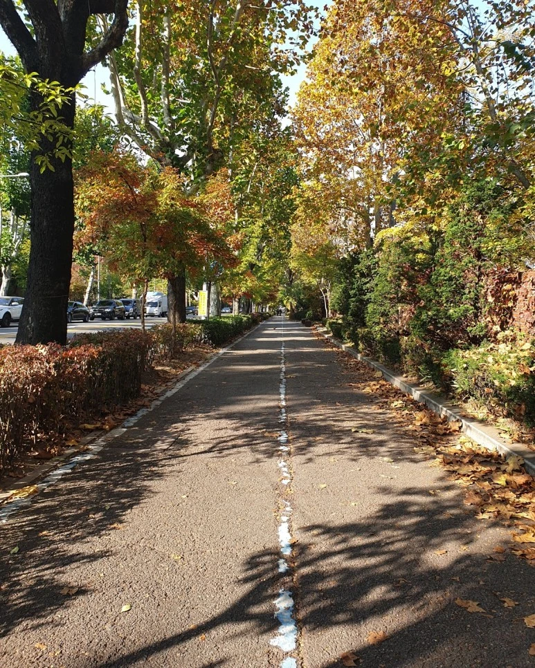 KakaoTalk_20210517_115814180.jpg?type=w773