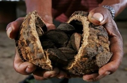 995B143359B0E51515C56E