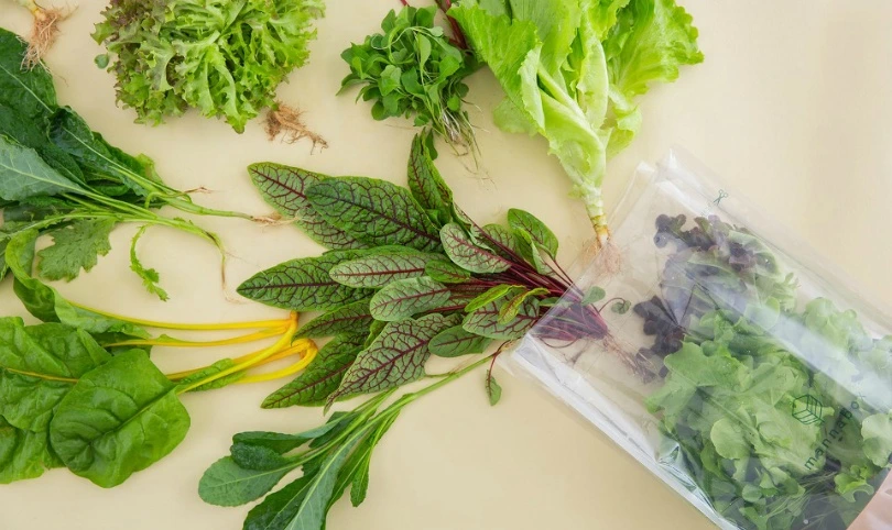 9929E23359B7728F293BCE