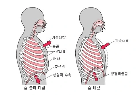 9953773359B215B0147822