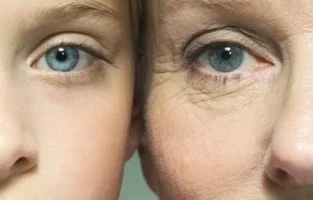 9975833359C323F61042AE