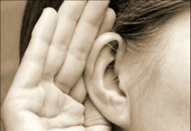 25349E33596E0F4D09B4C2