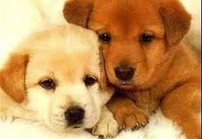 99B56F33599FD10727F3AF