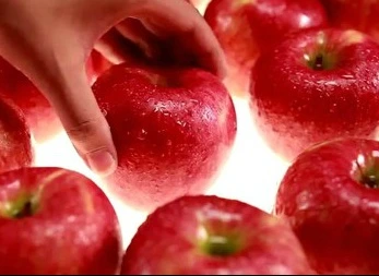 998C673359A14BFD0E24A7