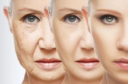 991BA93359B0D12E15873B