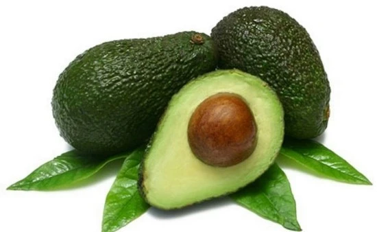 99F5B43359B0E5152622F4