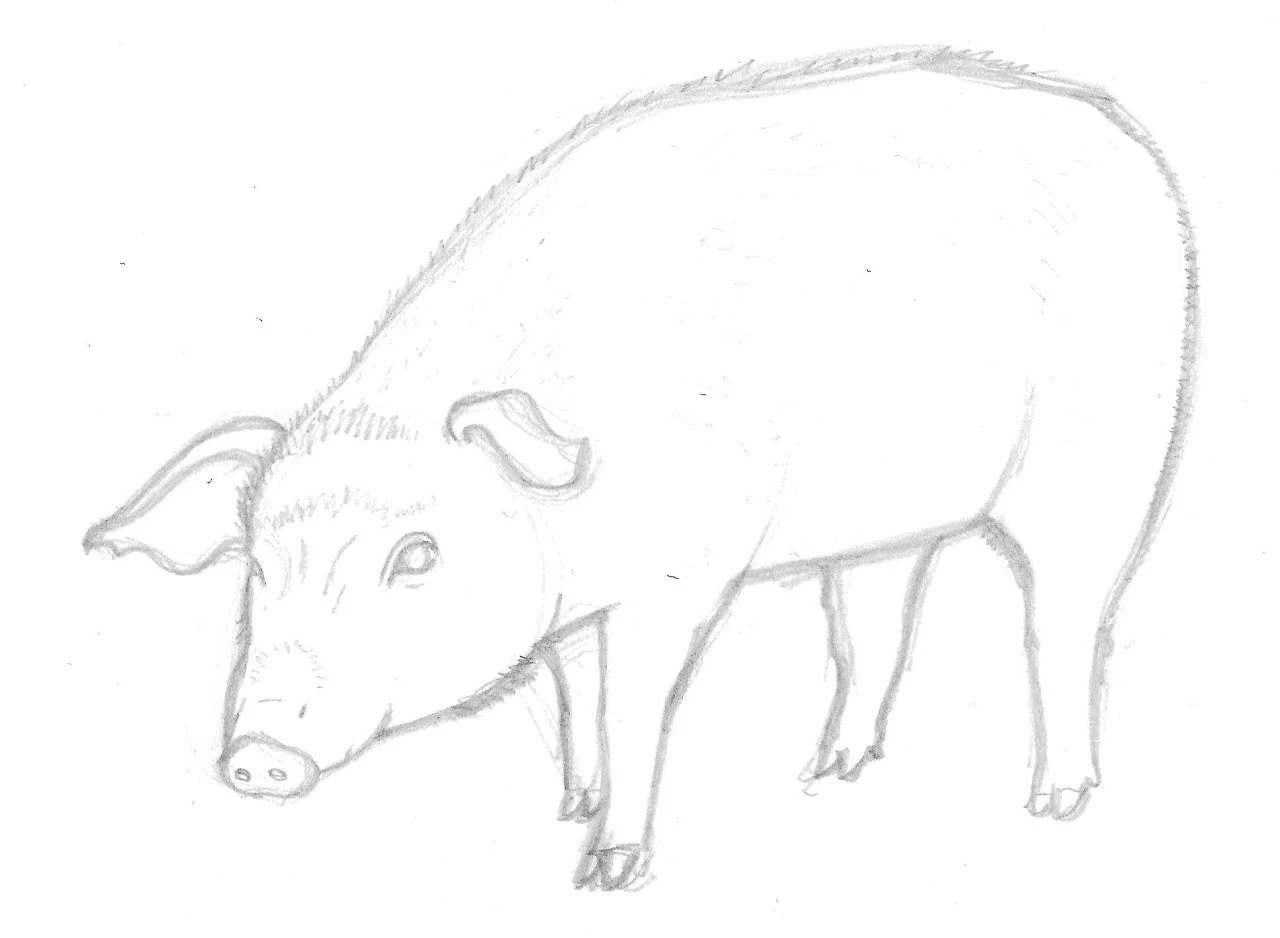 XE0rsNeIFcxqPKZ-k0W73kxBvf-Php6iXVbBjv-SoAE7eRbRE1GtanBz1PNn5AICAhKyisaHNdTZyv4a84iPye2UNSFvEYLA0uUaDjaW2mI6z38iCNDJQKxUDpiepT-0CkNXWySH