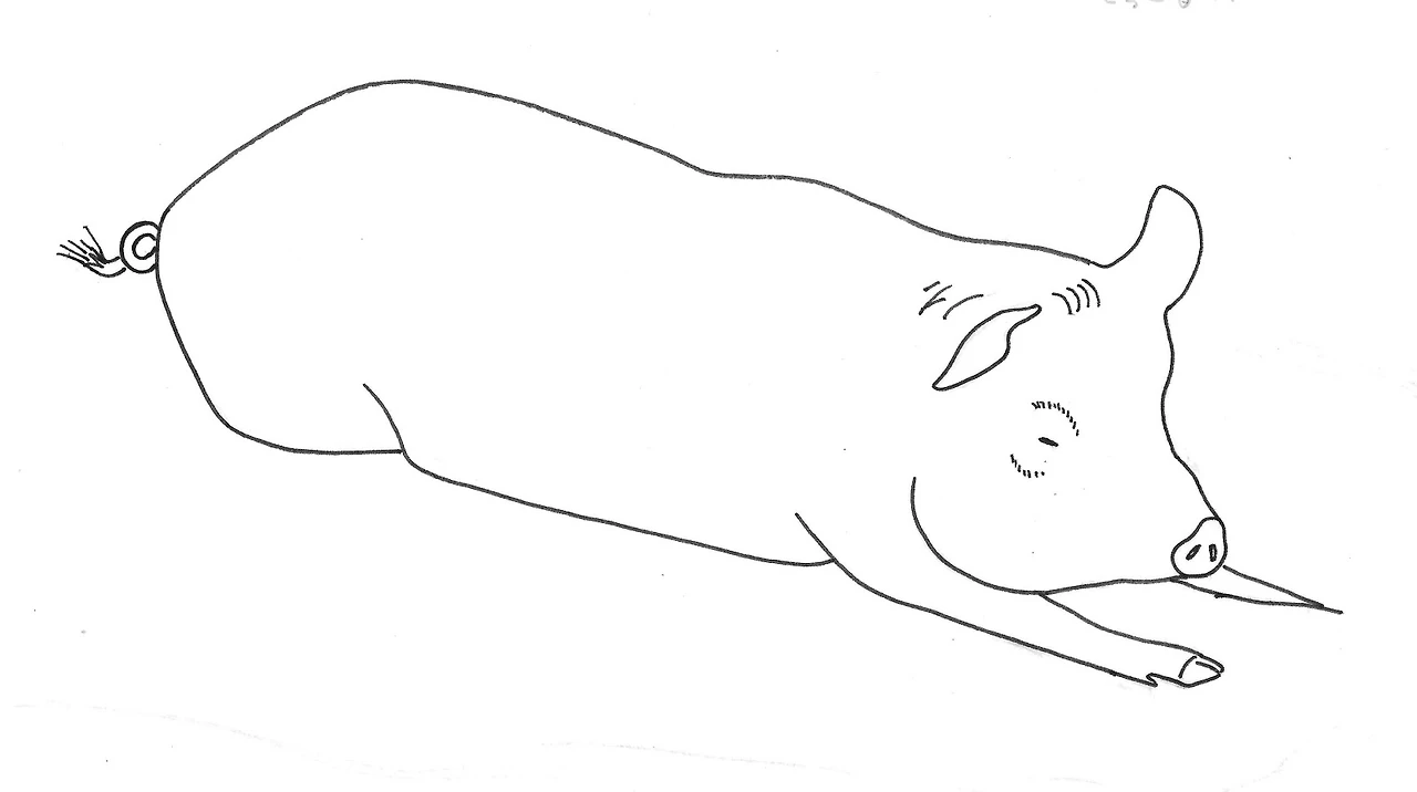 kVaBU_eaO75buDTealwVBdapmSxivRExWgJctm5Ahr0CwyN_gad7E3pMF3XY7M3dX03OKXVbgtNuCHIqrJy2PbW-loWs37KycJkTTTyPk0XGWzjQSZ65OvgR64RFaaVxqc_5B9vw