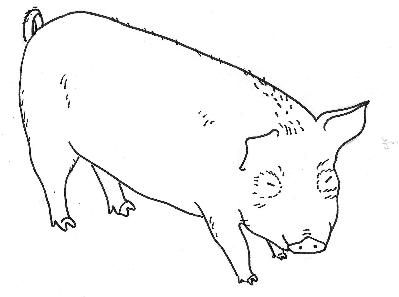 8g5LK4zmcuw9aFOiAYMFXBI2-XNYqopKHUEx-GHKF21wyhHfs8VBhZuDS3ajSwqoCxwmpwtaD9RjaxGGG6q86lXbwMQ7l8doJSSCB8EvOuLTypNpq41S9wSQJJTOKiVZScq9UuPN