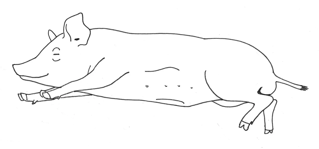 fx0mx55VZoX9uDKBcquYQ6x2UKHlugmgmMz-mwMl8LuyweGZ0brnEJNxsPr25buHlnPIlg7x84Z0CMsiFr16BHLaV5TeQCtaEruj_hpccApXB_4wlYFEKlWHdLu6SzbZu89W_Esq