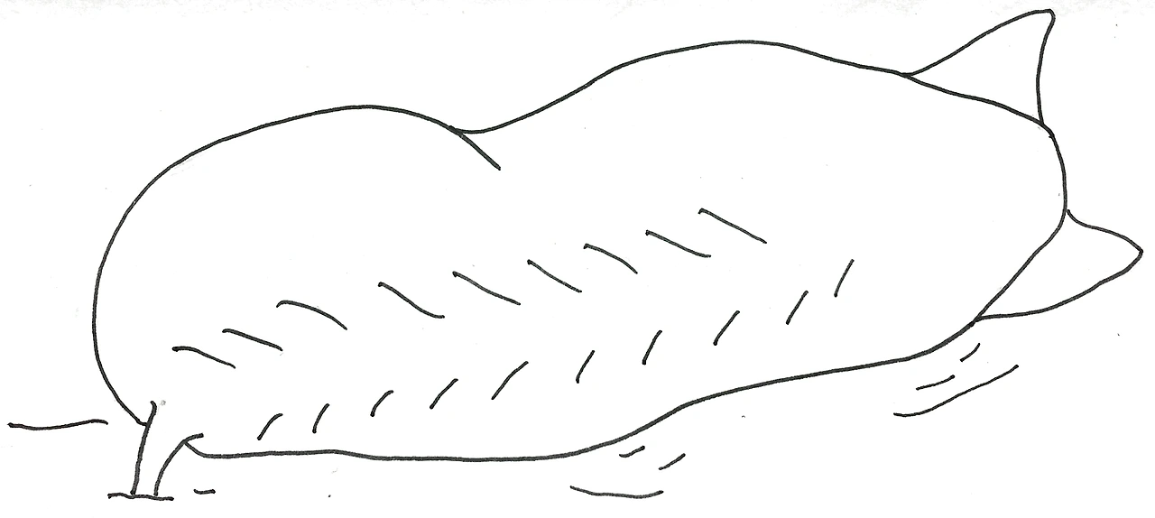 dMq62bzf06nIXnj0vxyzt9siKbSyXc8M1oOIPsSimJICYUXOZ-hRPKIiJ-7EIqituB2qV3vs1araqzQHN4NL9VSrU4lgL5ZNPpBq2zevIRb3IcgebBXzjVLR2CnX0QcIzMXSF6al