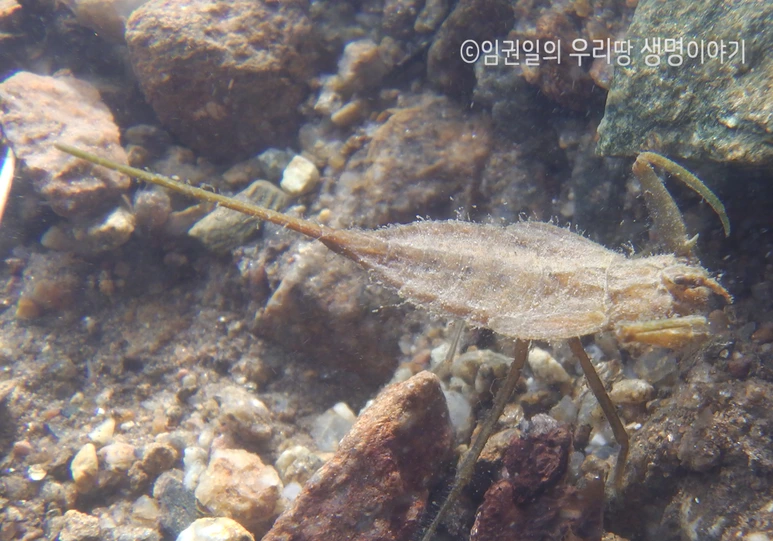 %EC%9E%A5%EA%B5%AC%EC%95%A0%EB%B9%84-%EC%95%BD%EC%B6%A9.png?type=w773