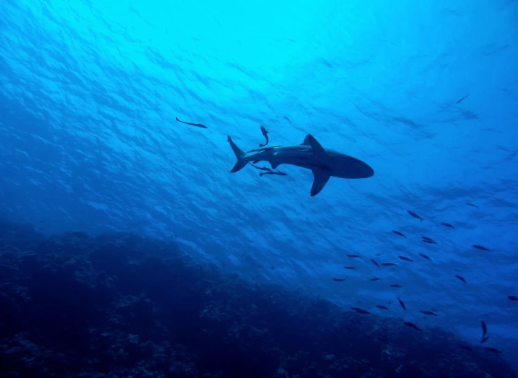 20180205_112136.png?type=w773