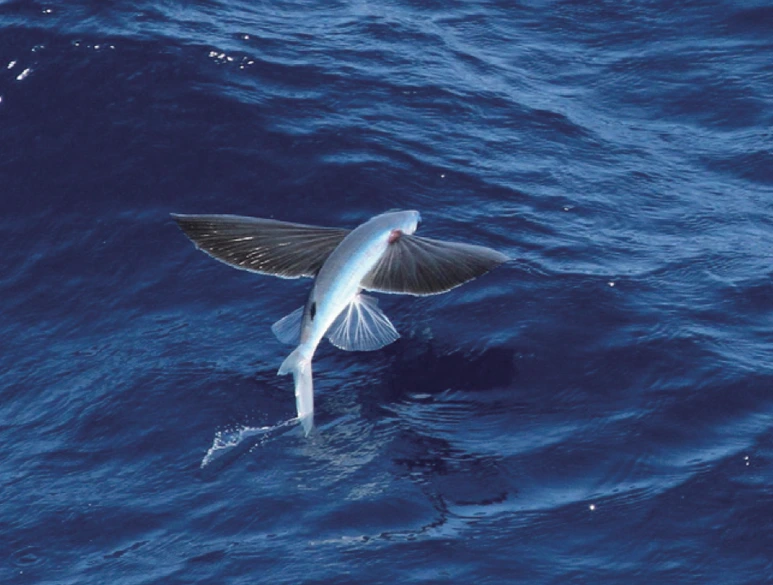 %EB%82%A0%EC%B9%982.png?type=w773