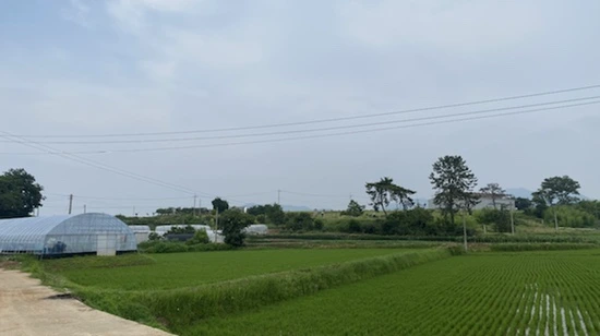 IMG_3355.jpg?type=w1