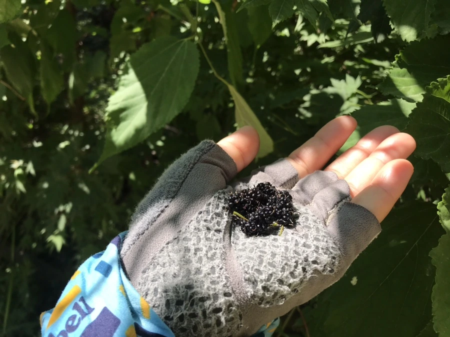 IMG_0796.jpg?type=w1