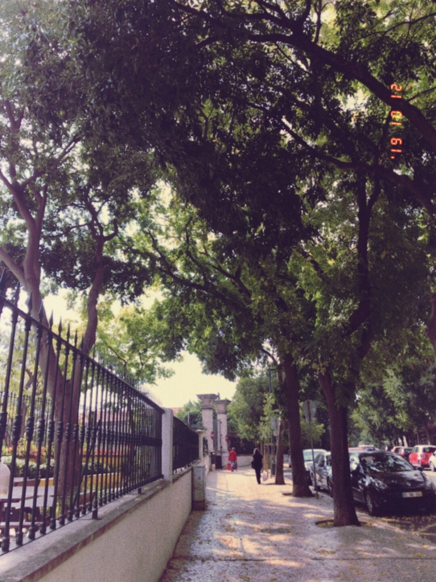 IMG_7119.JPG?type=w1