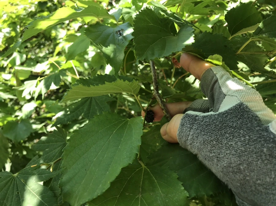 IMG_0797.jpg?type=w1