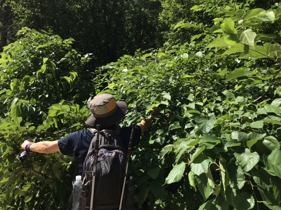 IMG_0794.jpg?type=w1