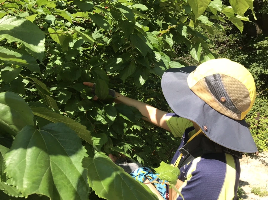 IMG_0795.jpg?type=w1