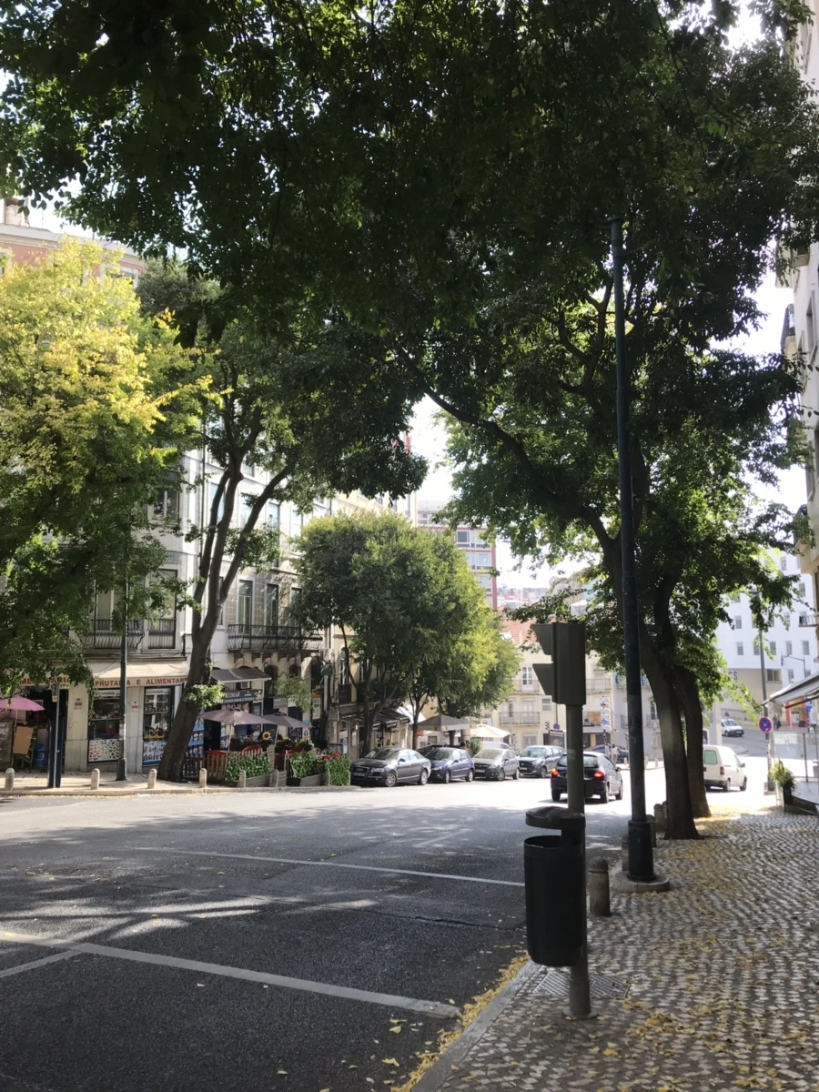 IMG_7102.jpg?type=w1