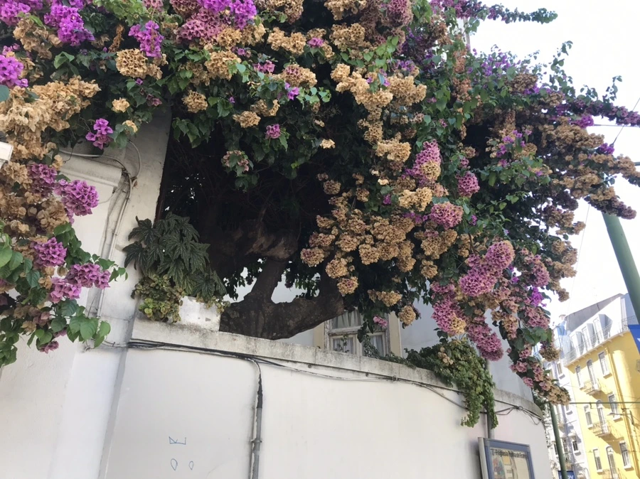 IMG_6687.jpg?type=w1