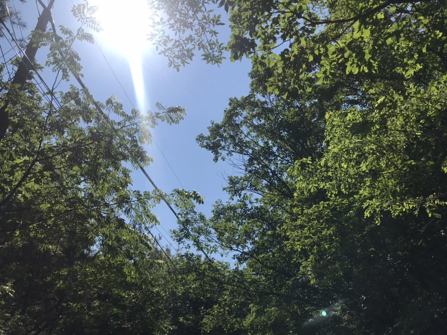 IMG_0788.jpg?type=w1