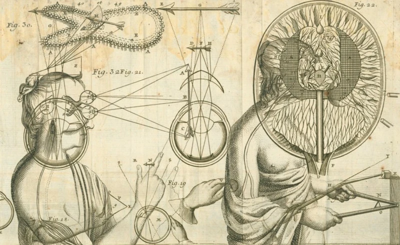 Pineal_1500.jpg?type=w800