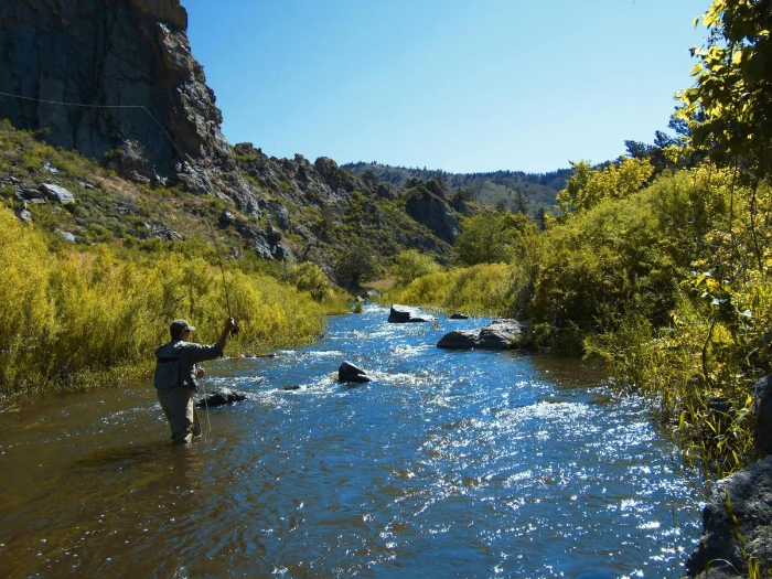 Poudre_River_Fly_Fishing_Credit_Ryan_Burke_2__dd5c1ce9-4013-4f3b-a41d-a7ea777ed806.jpeg